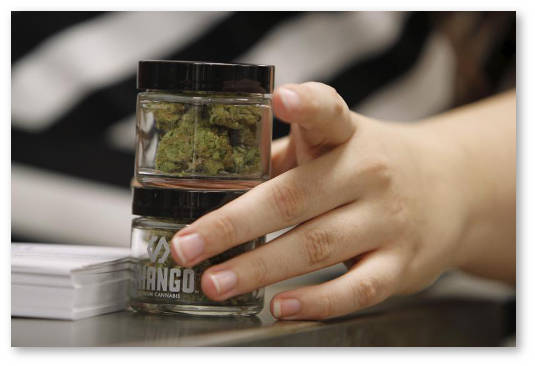 konoplyanye magaziny i apteki ne prodayut marihuanu nesovershennoletnim