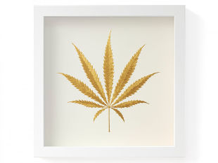 silke spingies cannabis leaf original acrylic painting