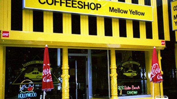 amsterdam coffeshop mellow yellow