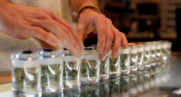 germaniya bundestag legalizoval medicinskuyu marihuanu