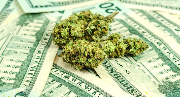 marijuana buds on US currency