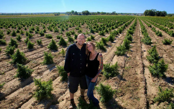 cbd field craig celena