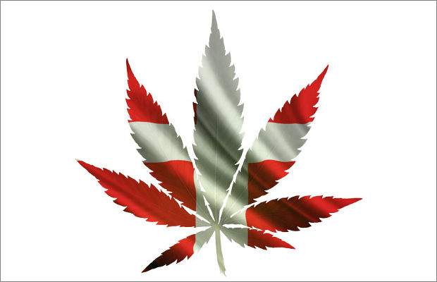 дания медицинская марихуана