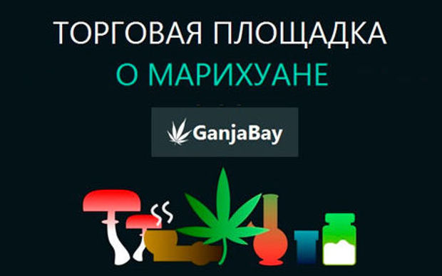 sell your ownseeds and more