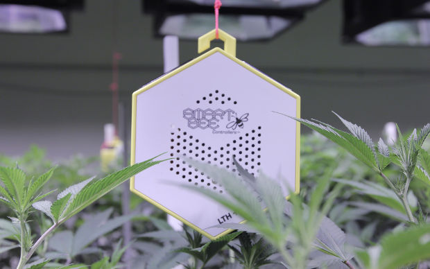 vapor pressure deficit