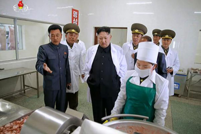 Report North Korea cultivating marijuana to fuel drones