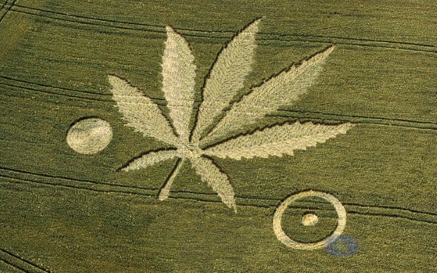 crop circles21