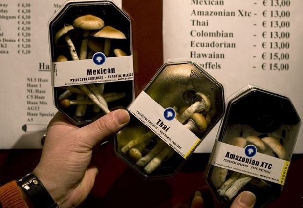 Псилобицин и конопля