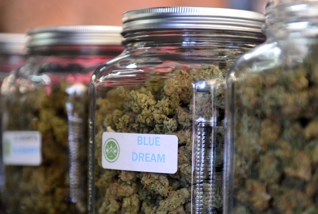 o MEDICAL MARIJUANA facebook