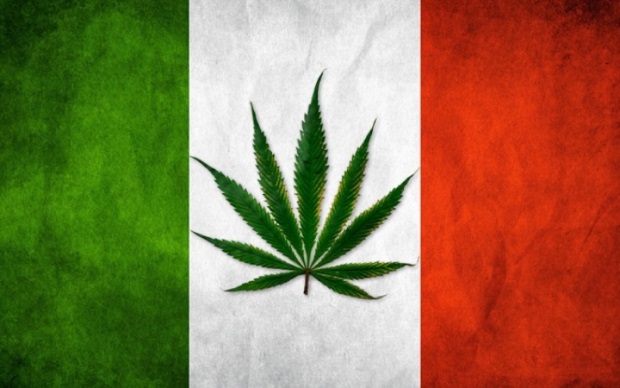 italy cannabis