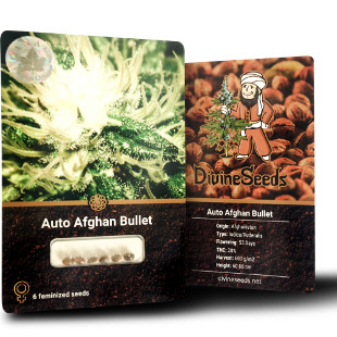 Auto Afghan Bullet right