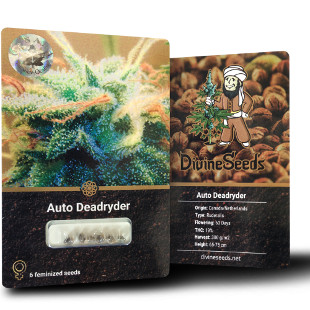 Autodeadryder right