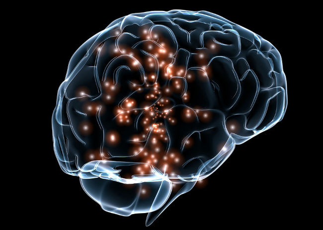 Исследование сравнило вред алкоголя и марихуаны для мозга
