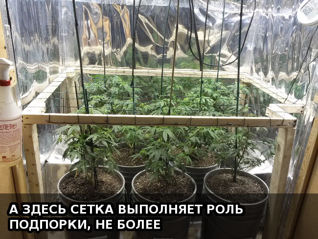 А здесь сетка выполняет роль подпорки, не более