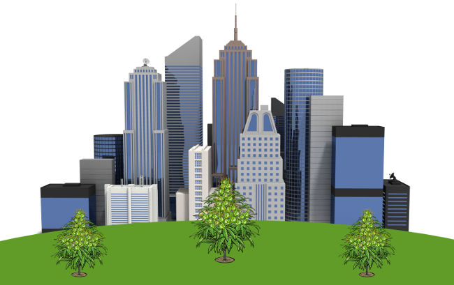 В каком городе мира выкуривают больше всего травы?