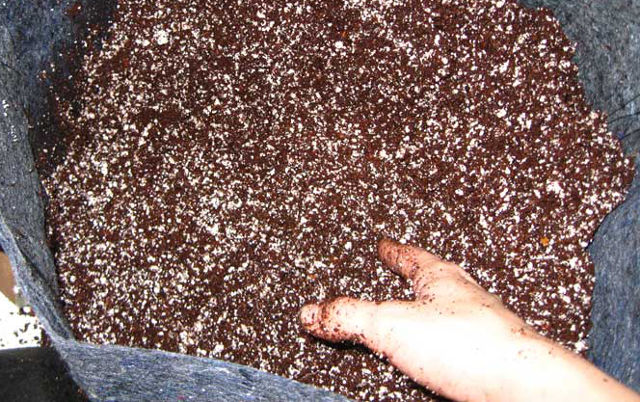 Культивирование каннабиса в коксе требует большого количесва перлита, если вы не хотите получить постоянные проблемы с переливом