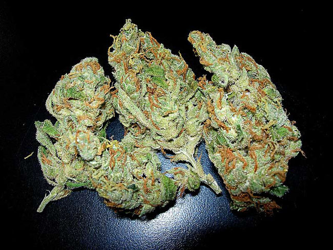 Бошки, правильным образом высушенные и пролеченные, отчасти сохраняют естественный цвет