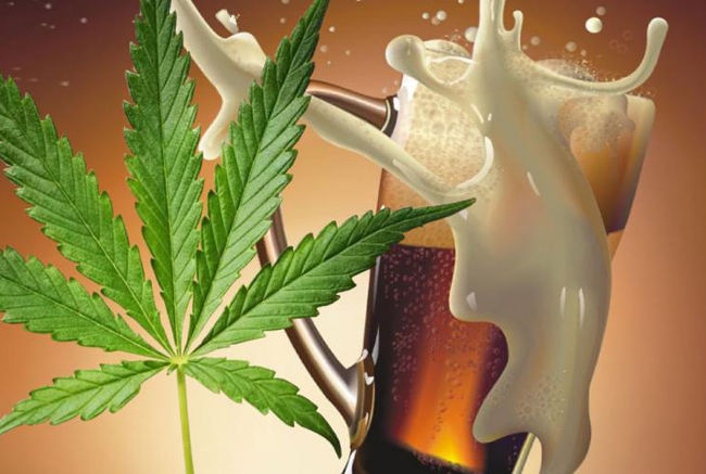 Безалкогольное пиво с канабисом имитирует действие обычного пива