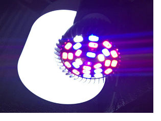 Лампа LED в паре с фитолампой дала симптомы, похожие на дефицит магния