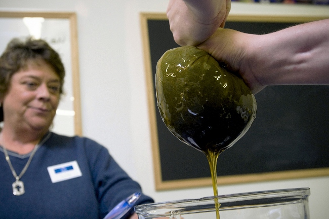 cannabis-tincture large