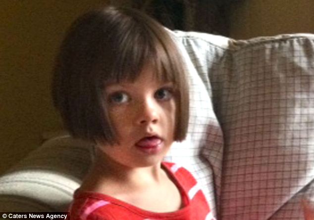 charlotte-figi-drave-cbd-strain