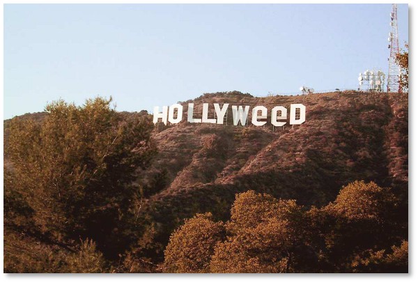 hollyweed marijuana joke