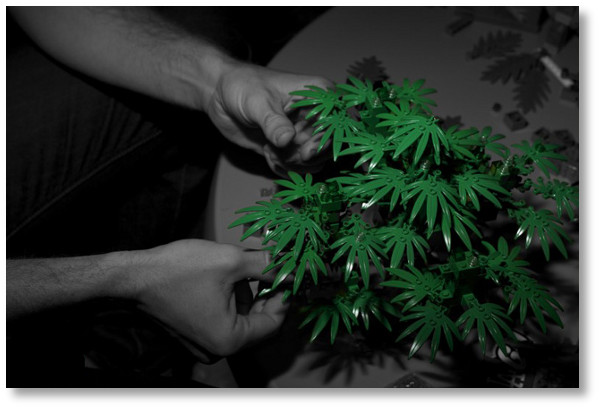 lego-marijuana-plant