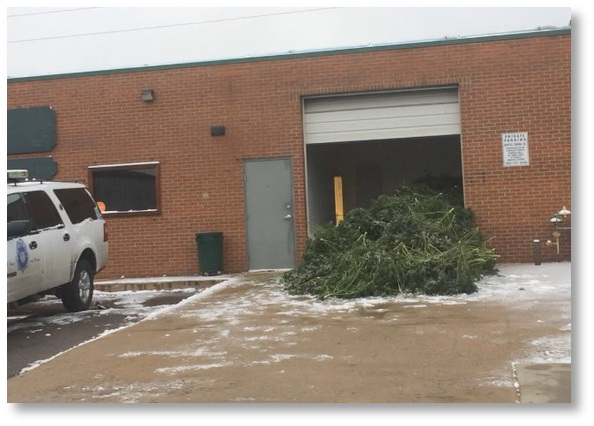 marijuana-raid-photo