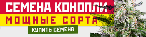 Семена конопли. Мощные сорта купить