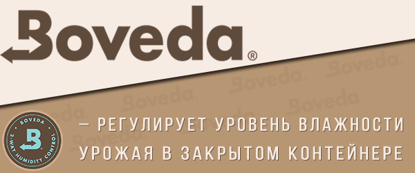 Boveda. Идеальный уровень влажности шишек