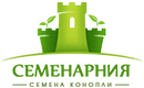 semenarnia