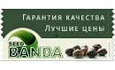 seedbanda 130x79