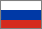 russian flag icon