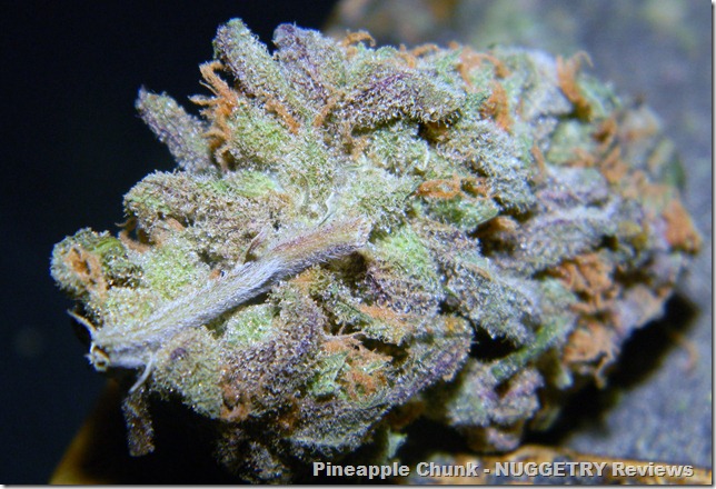 3-5-12-1000toes-pineapple-chunk2