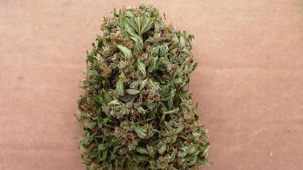 think-different-dutch-passion-13