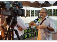 Уругвай: За три месяца зарегистрировано 1200 производителей марихуаны