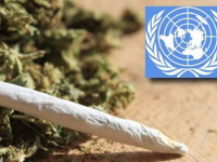 Опыт декриминализации в ряде стран накануне пересмотра ООН глобальной наркополитики