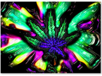 Марихуана может стать средством профилактики постравматического синдрома