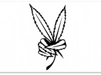 Итоги референдума: Медицинская марихуана легализована в Гуаме и другие победы/поражения