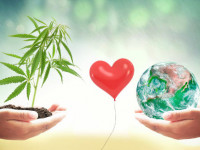 С заботой об экологии: Как выращивать траву, не истощая ресурсы?