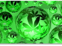 Конопля и хроническая боль. Брошюра общества "Американцы за безопасный доступ"