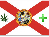 К конопляной активистке явилась ювенальная служба по анонимному доносу