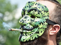 Выборы во Франции: На кону судьба конопляных реформ