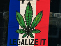 Франция: Декриминализация травы возможна в конце года