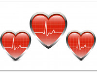 Активация "марихуановых" рецепторов защищает от хронической сердечной недостаточности