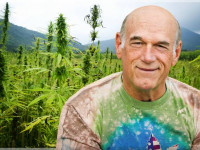 Мнение: Свободный человек никогда не выступит против легализации конопли