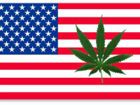 Революционный законопроект о медицинской марихуане в Сенате США и другие заголовки