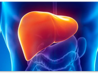 Новый взгляд на употребление марихуаны при гепатите С Новый взгляд на употребление марихуаны при гепатите С