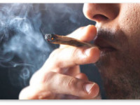 Индейские племена собрались, чтобы обсудить легализацию марихуаны, и другие заголовки