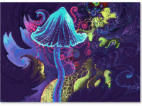 Волшебные грибы способны восстанавливать клетки мозга Волшебные грибы способны восстанавливать клетки мозга